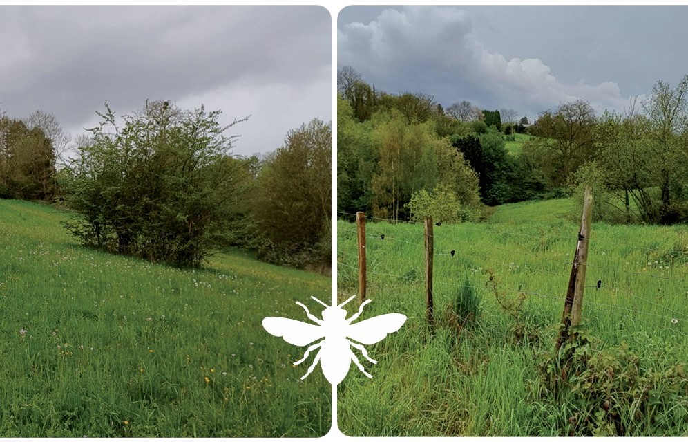 Projet de création de la première réserve naturelle domaniale de Saint-Georges-sur-Meuse