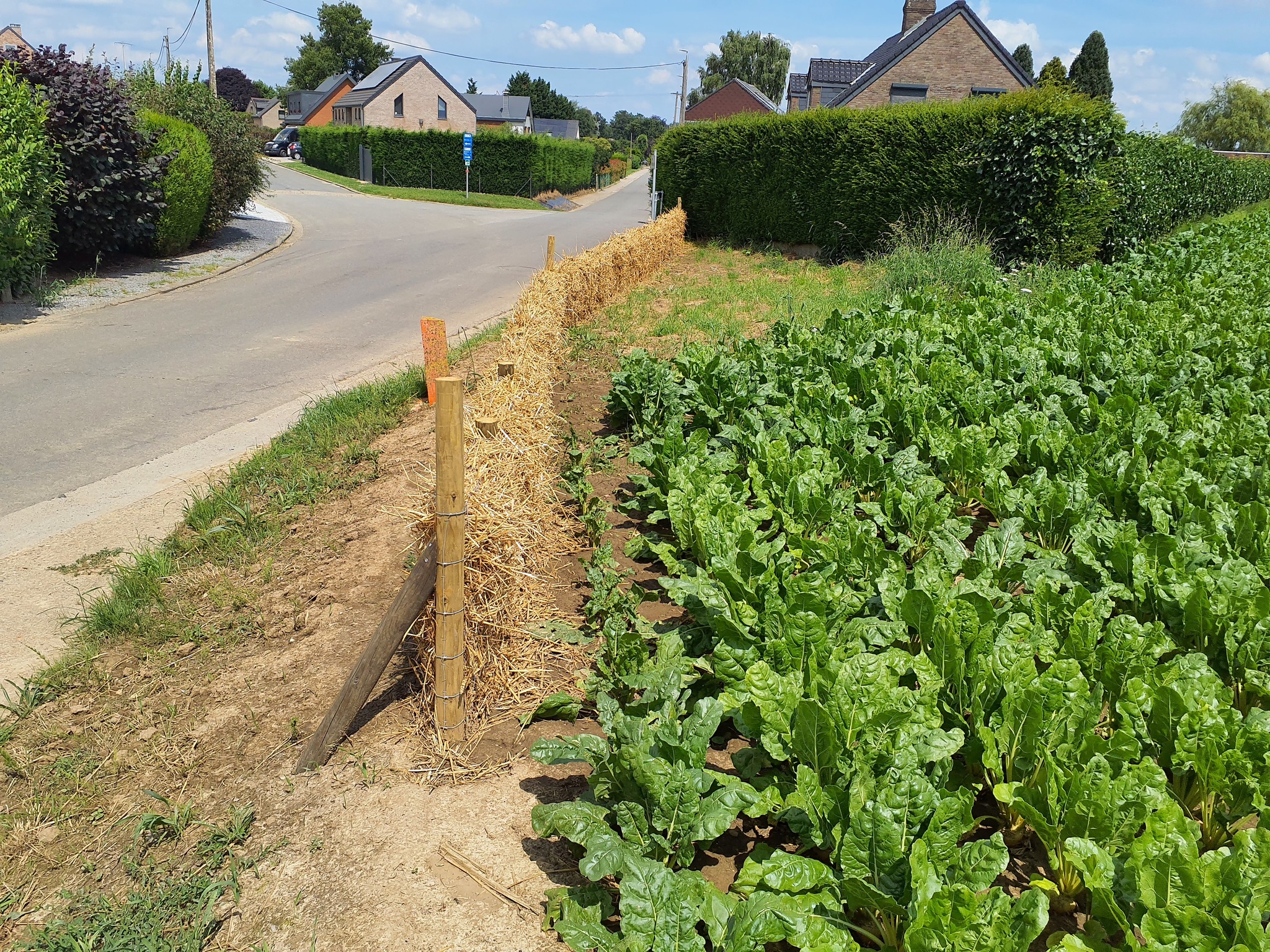 Des fascines en paille pour freiner les coul&eacute;es boueuses &agrave; Juprelle