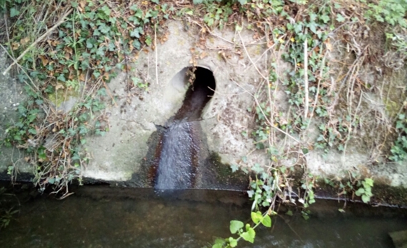 Nouveau projet d'amélioration de la qualité de l'eau dans le bassin de la Gulp