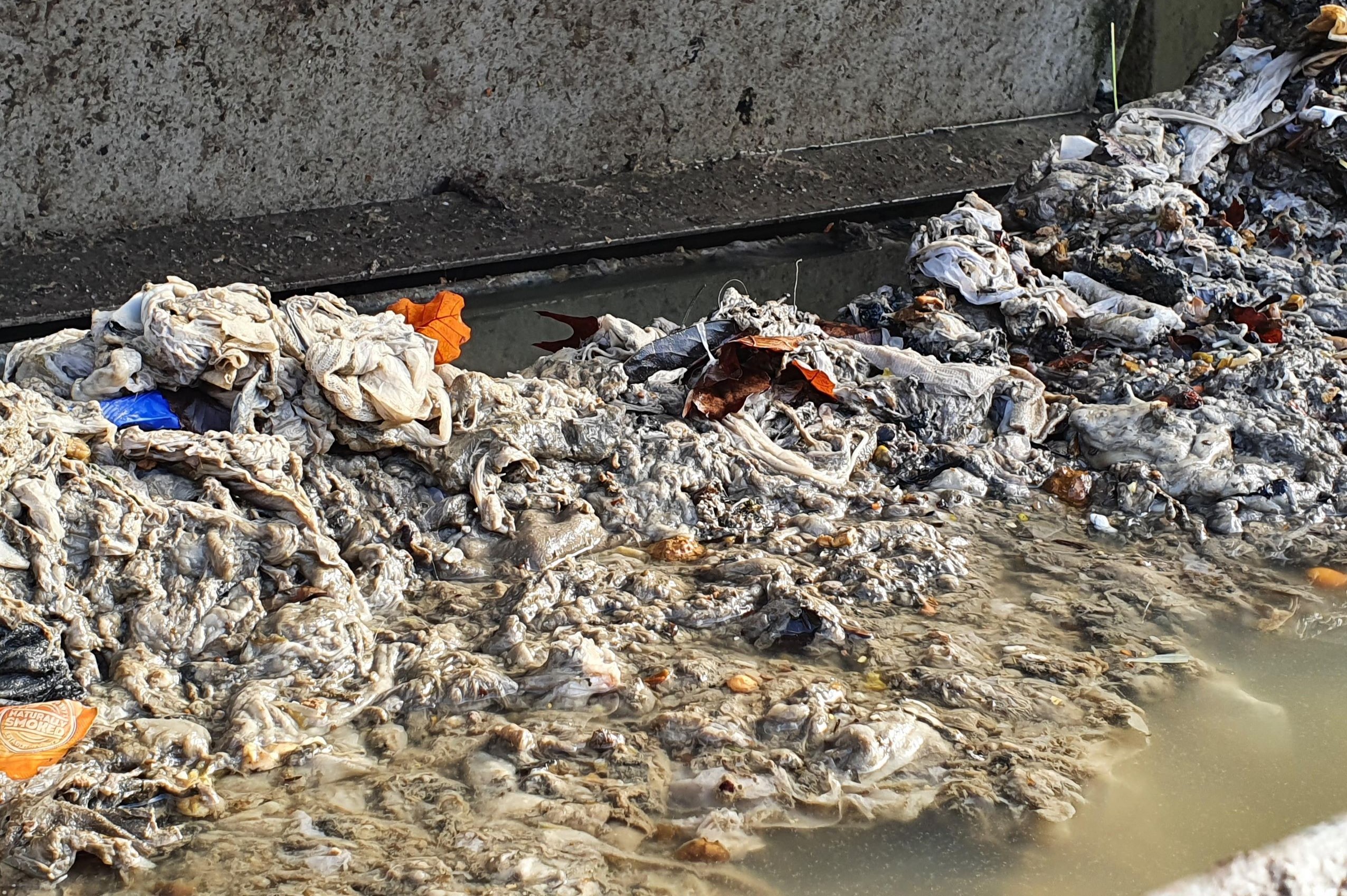 Nos égouts (et nos WC) ne sont pas des poubelles !