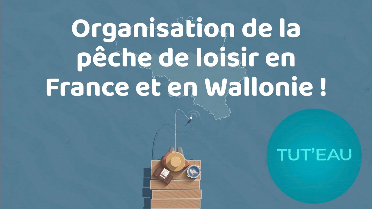 Tut’EAU - Organisation de la pêche en France et en Wallonie