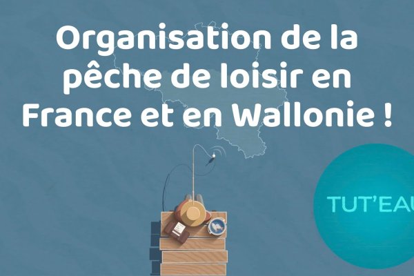 Tut’eau - Organisation de la pêche en France et en Wallonie