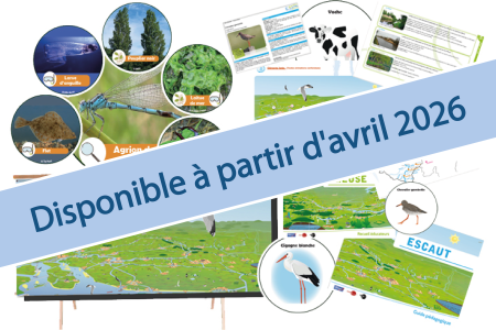 Fleuve Grandeur Nature (Disponible à partir d'avril 2026)