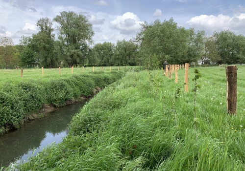 Aménagements sur les rives du ruisseau du Mohéry