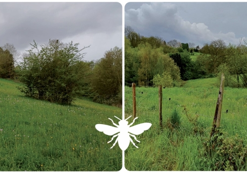 Projet de création de la première réserve naturelle domaniale de Saint-Georges-sur-Meuse