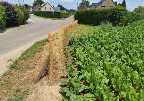 Des fascines en paille pour freiner les coulées boueuses à Juprelle