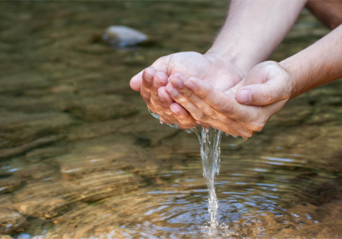 La Directive européenne Cadre sur l’Eau a 25 ans : où en est la Wallonie ?